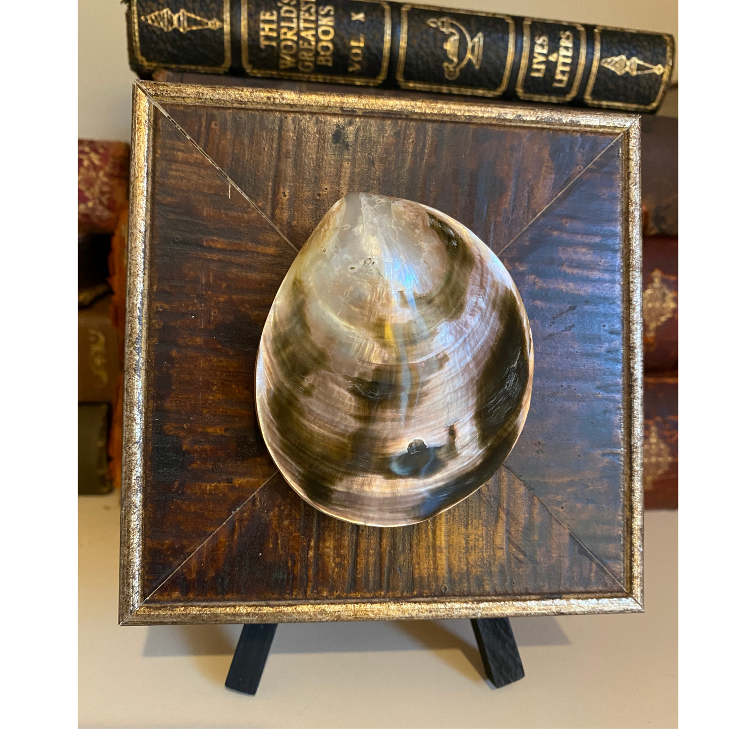 Seashell, Wooden Art, Handcrafted Home Decor