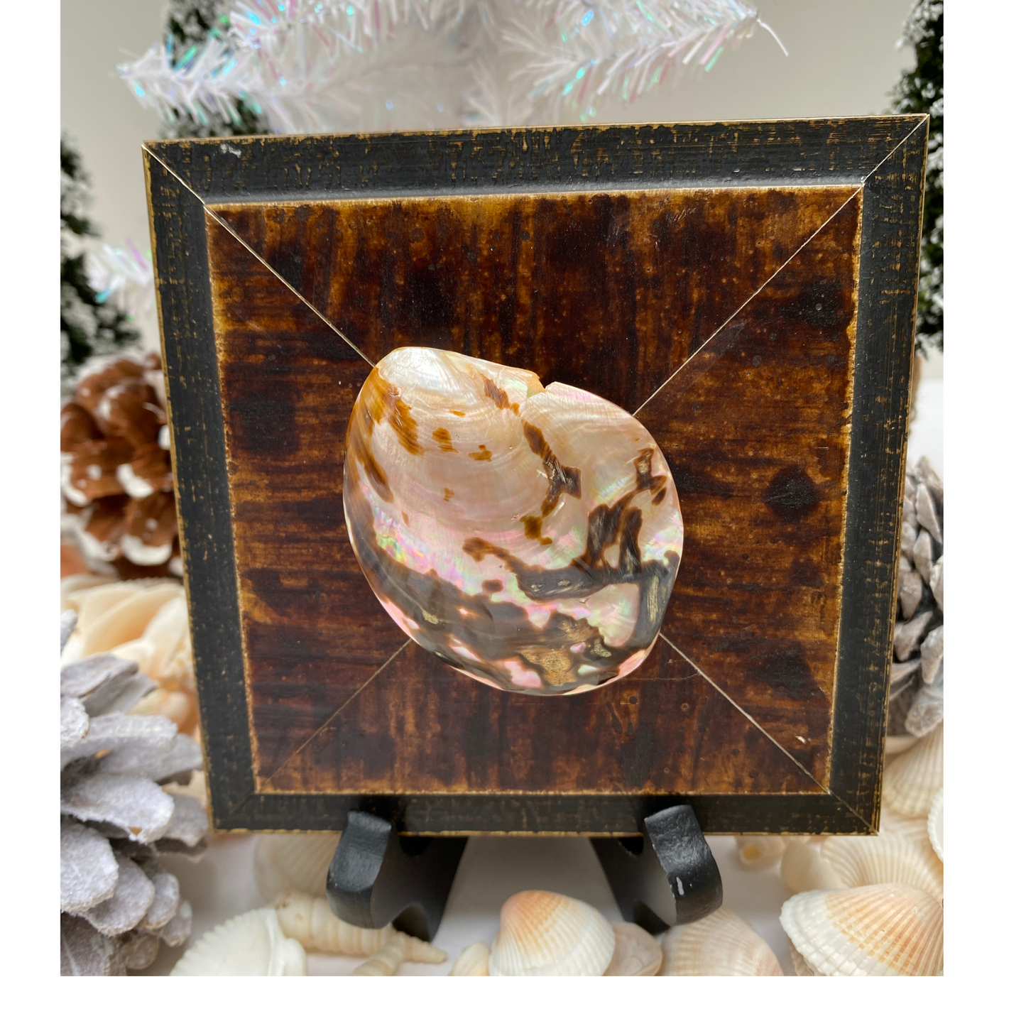 Seashell, Wooden Art, Handcrafted Home Decor