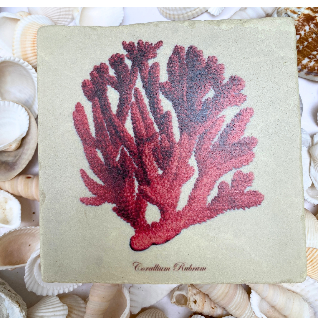 Red Coral Art Marble Coaster | Coastal Christmas Gift