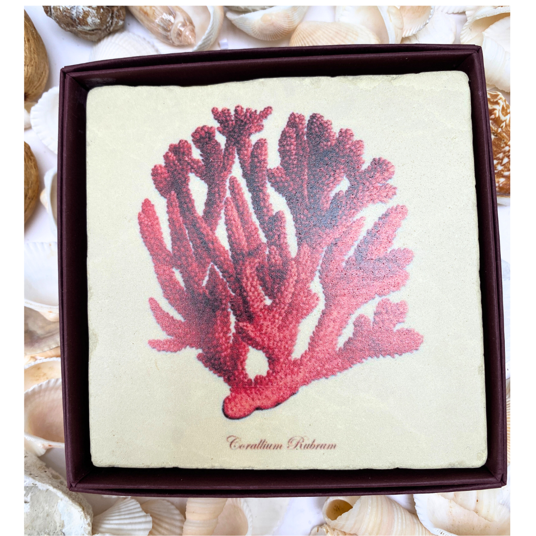 Red Coral Art Marble Coaster | Coastal Christmas Gift
