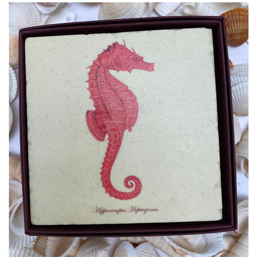 Red Sea Horse Marble Coaster | Coastal Christmas Gift