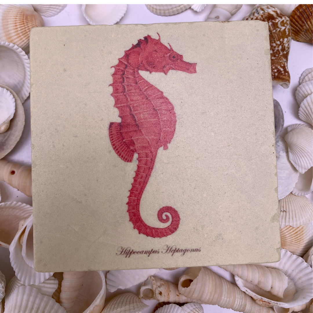 Red Sea Horse Marble Coaster | Coastal Christmas Gift