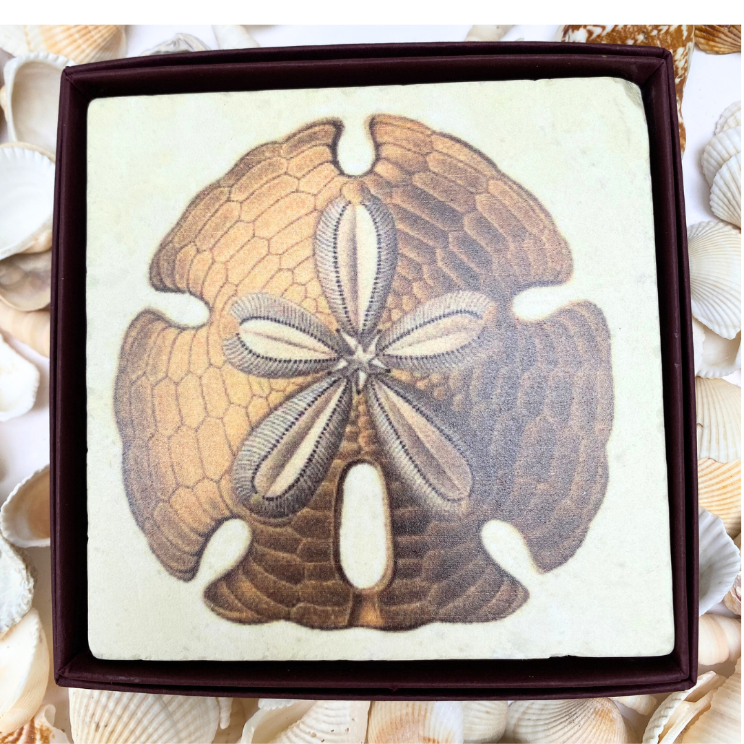 Sand Dollar Marble Coaster | Coastal Christmas Gift