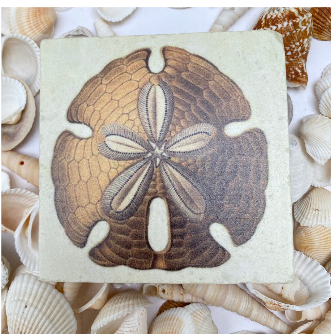 Sand Dollar Marble Coaster | Coastal Christmas Gift