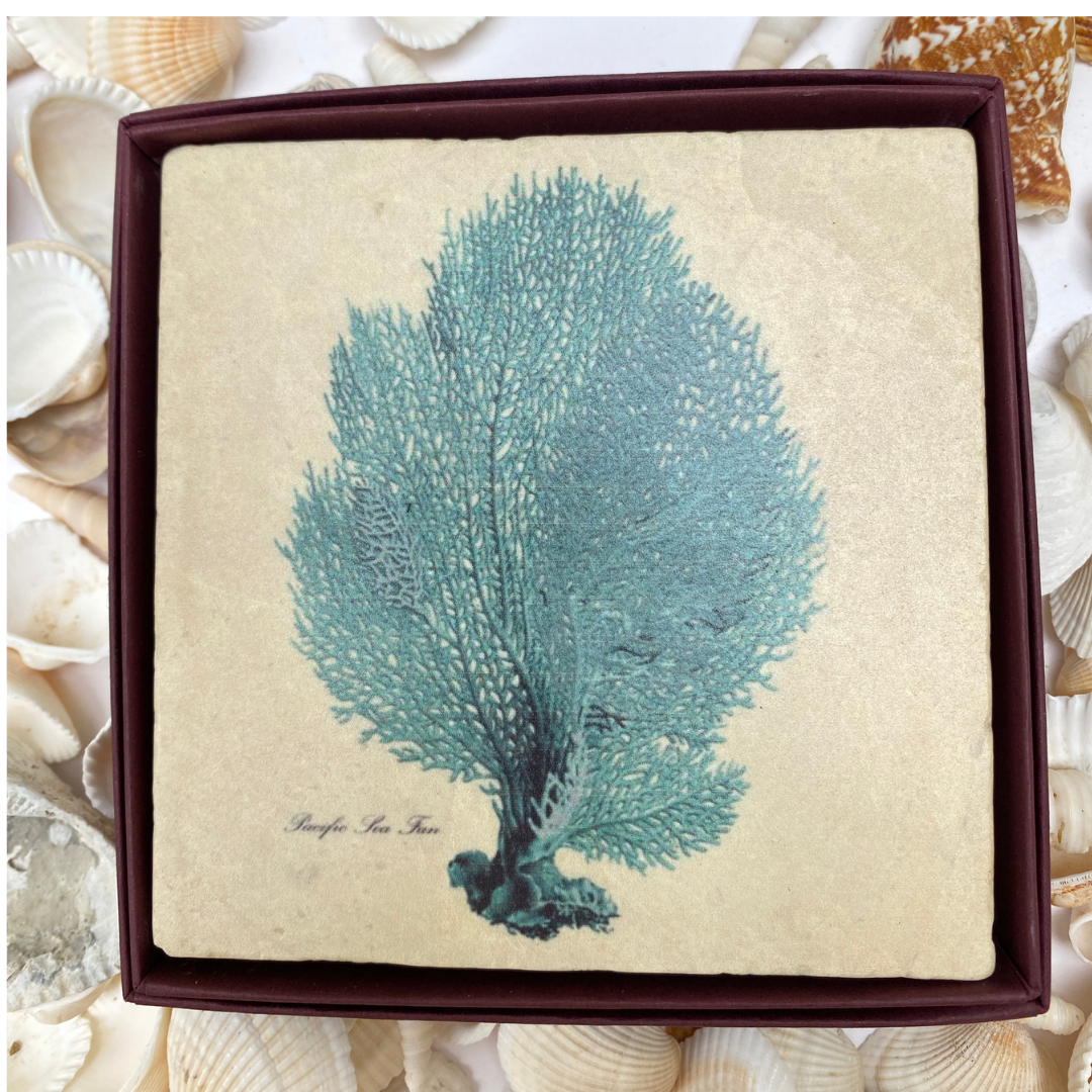 Blue Sea Fern Marble Coaster | Coastal Christmas Gift