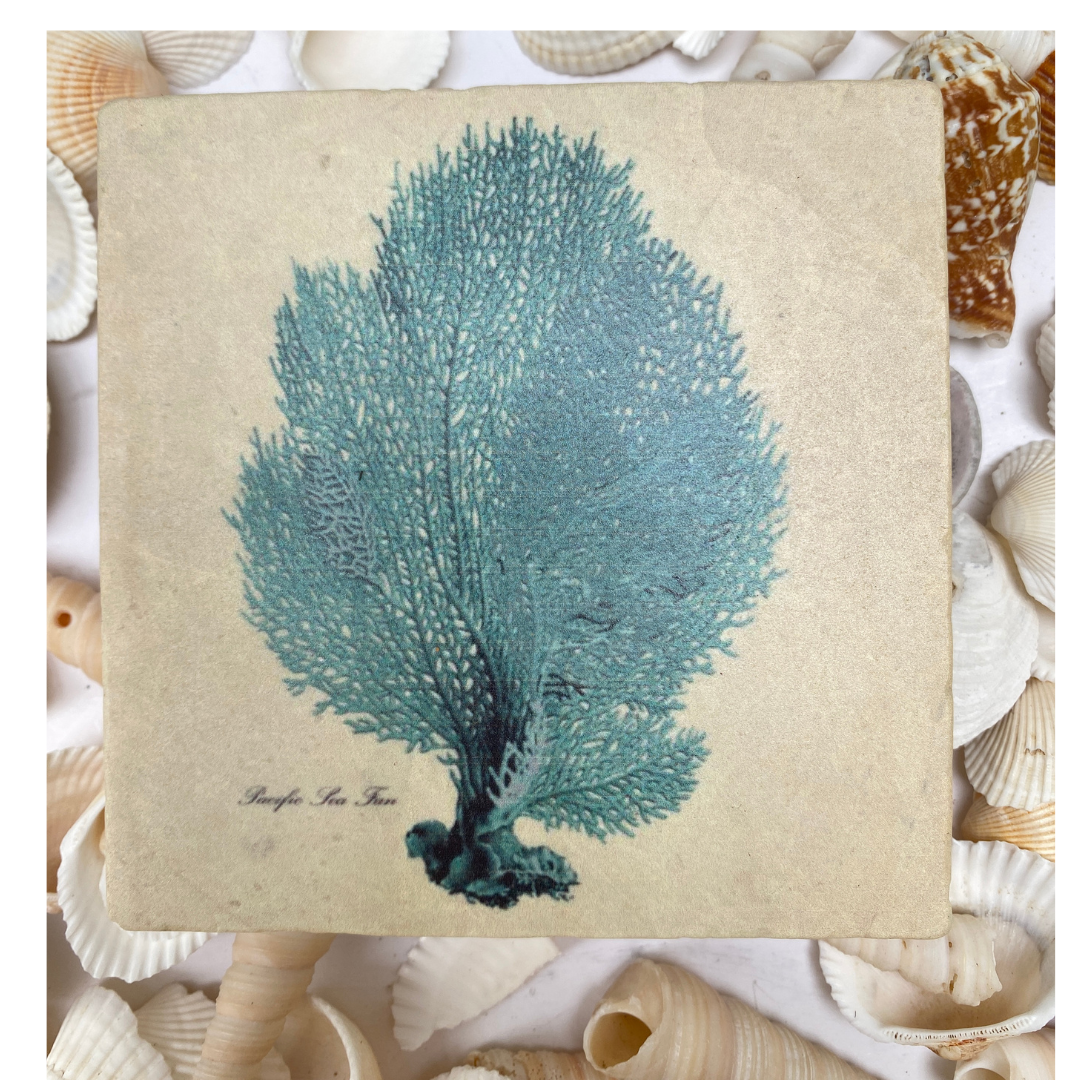 Blue Sea Fern Marble Coaster | Coastal Christmas Gift