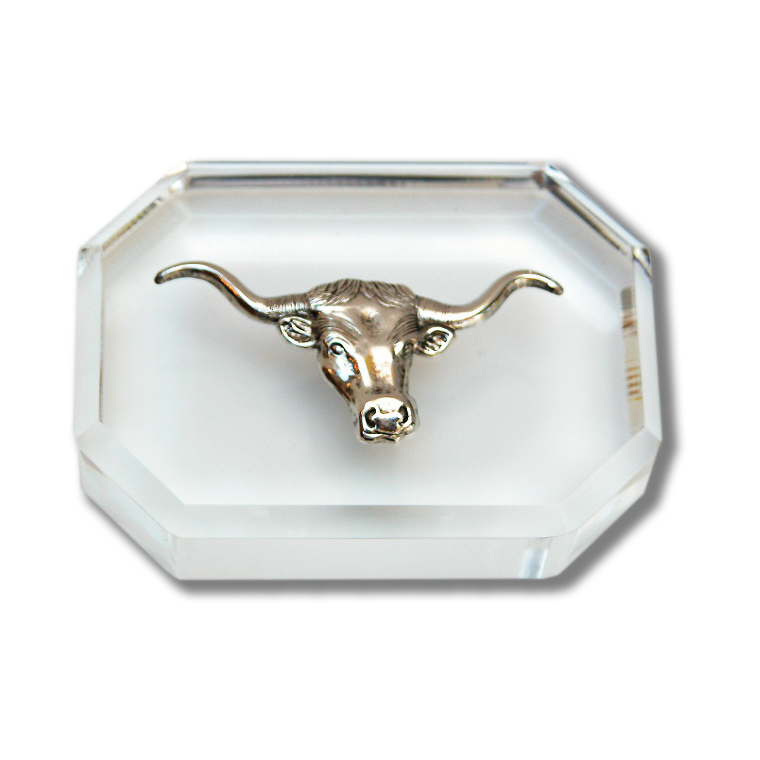 Longhorn Paperweight | Gift for Longhorn Fan