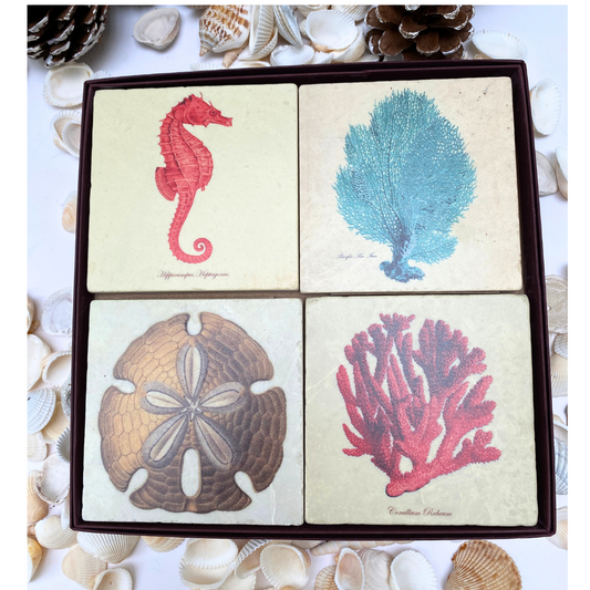 Classic Sea Creature Art on Marble Coasters | Set of 4 Gift Boxed | Coastal Christmas Gift